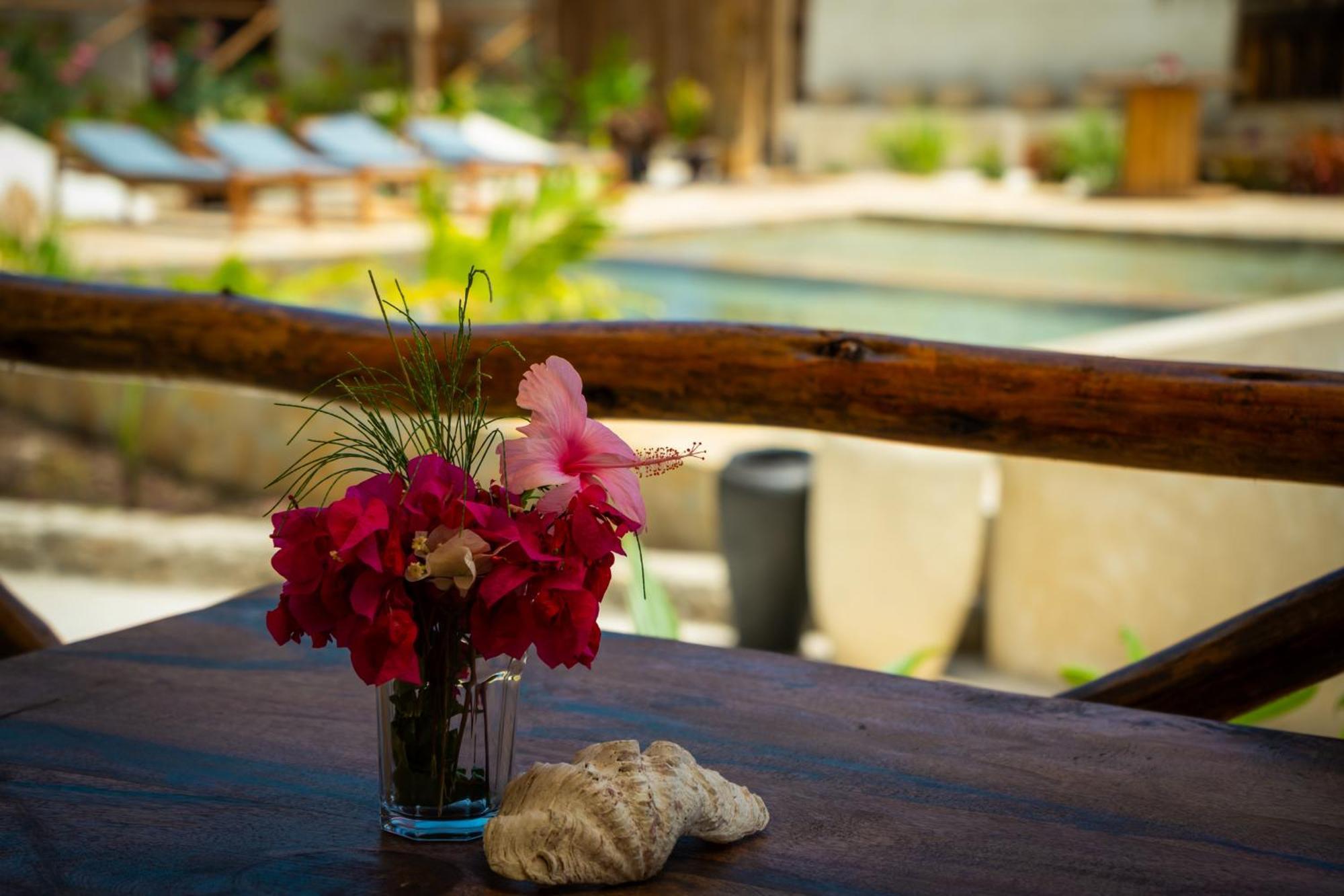 Hotel Blooming Zanzibar à Jambiani  Extérieur photo