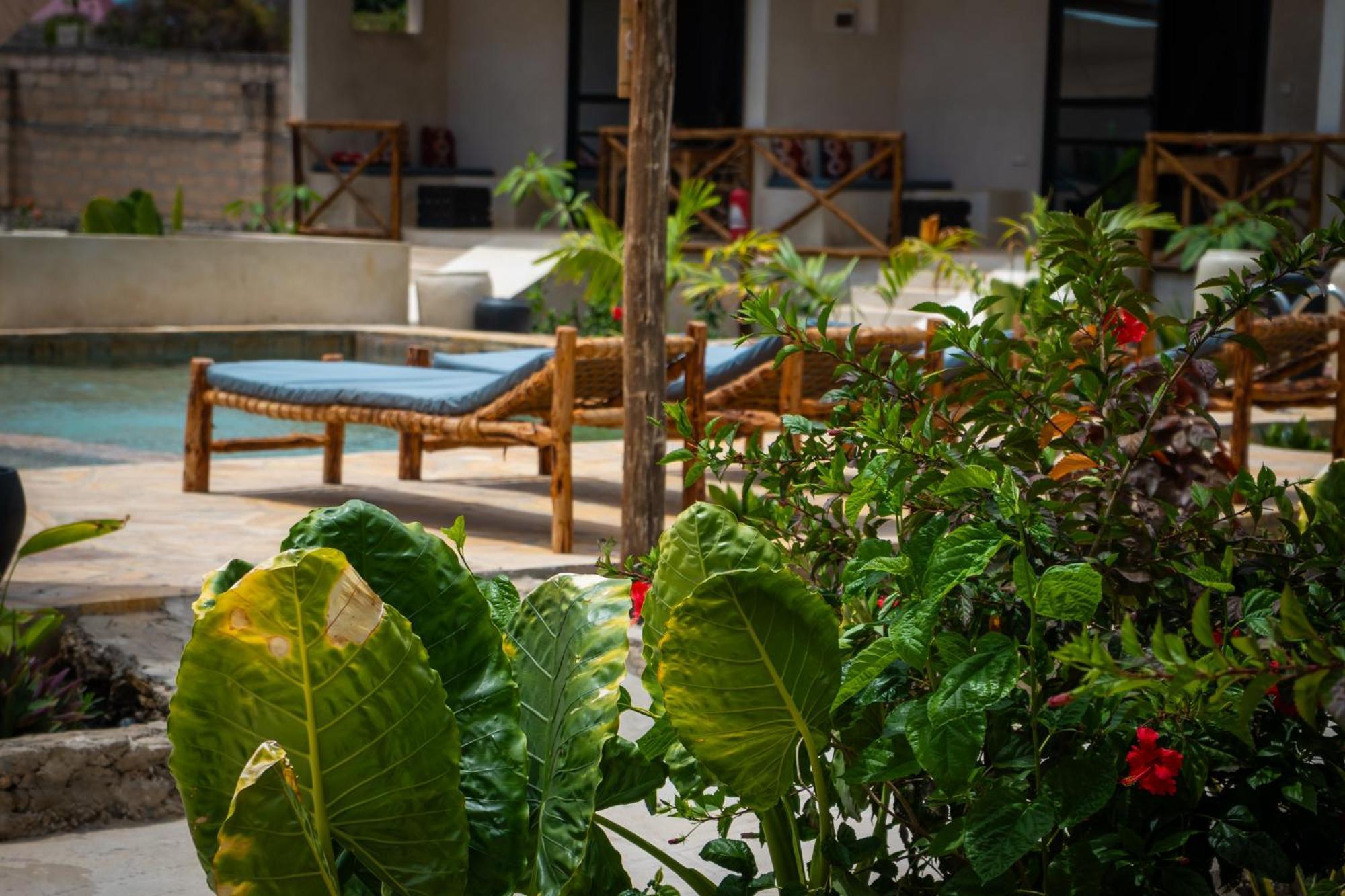 Hotel Blooming Zanzibar à Jambiani  Extérieur photo